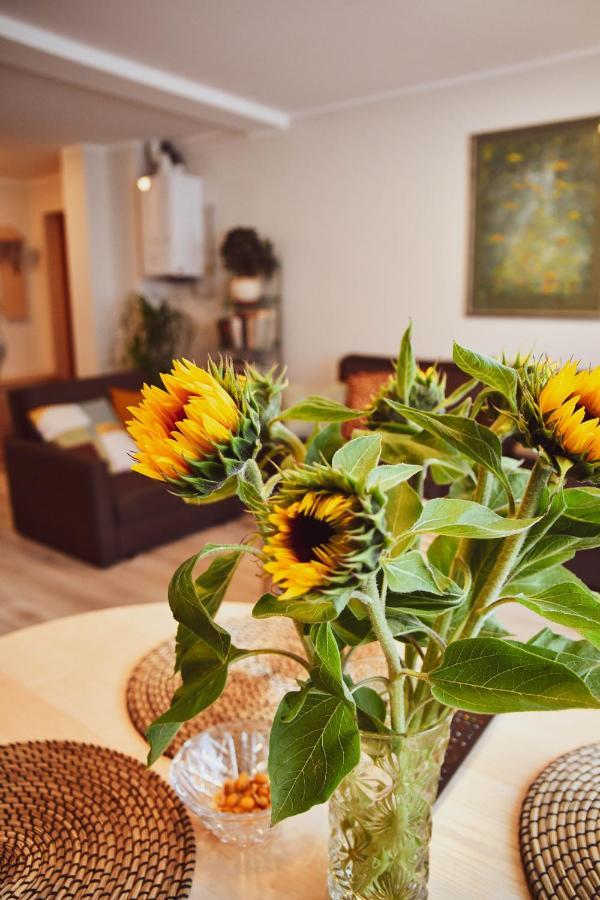 Central Park Apartment בריסטונאס מראה חיצוני תמונה